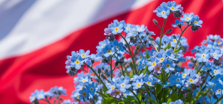 DZIEŃ POLSKIEJ NIEZAPOMINAJKI – podsumowanie projektu edukacyjnego „Polska w małym paluszku”